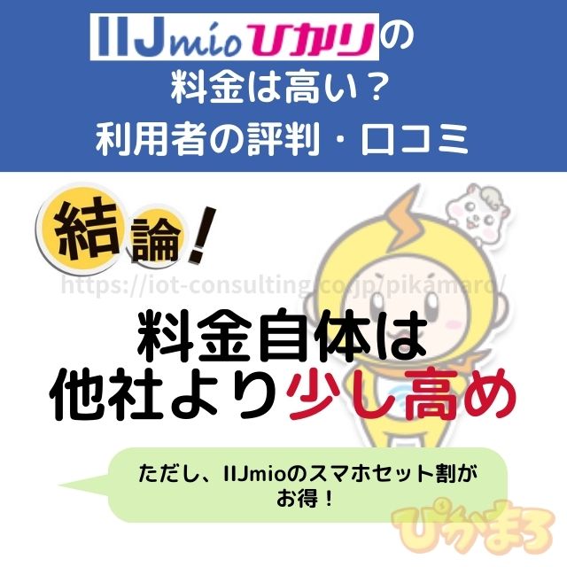 iijmioひかり 評判 料金