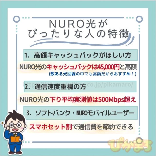 NURO光 おすすめする人の特徴