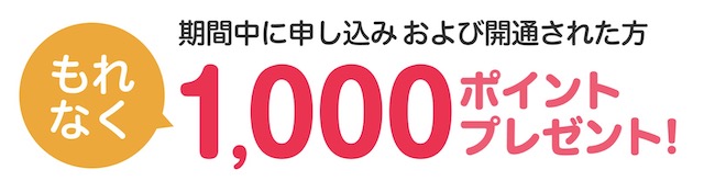 楽天ひかり 1,000ポイント