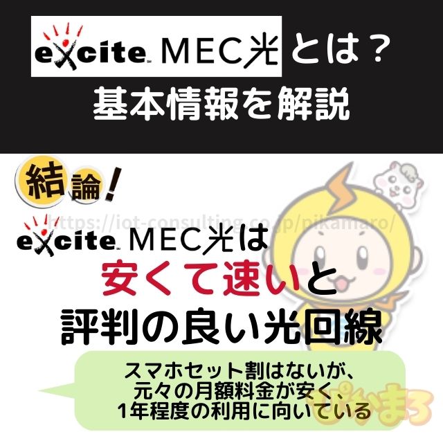 エキサイトmec光 とは