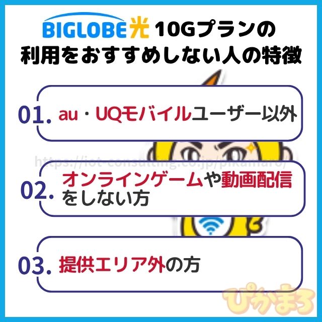 ビッグローブ光 10g おすすめしない人