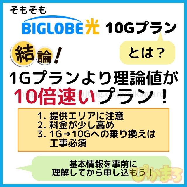 ビッグローブ光 10g とは