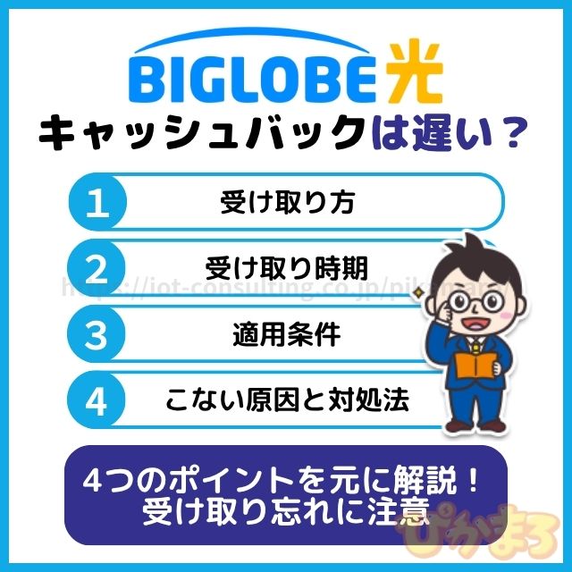 ビッグローブ光 キャッシュバック 遅い