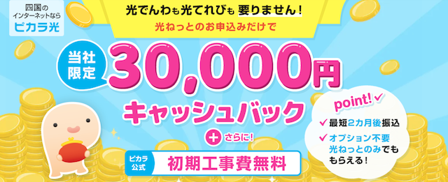 ピカラ光 NEXT 30,000円