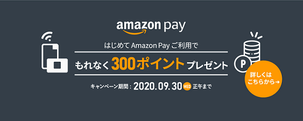 ワイホー Amazon Payキャンペーン