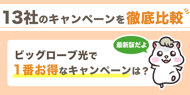 13社比較 ビッグローブ光のキャッシュバックで損しない方法 公式よりお得なキャンペーンと注意点は